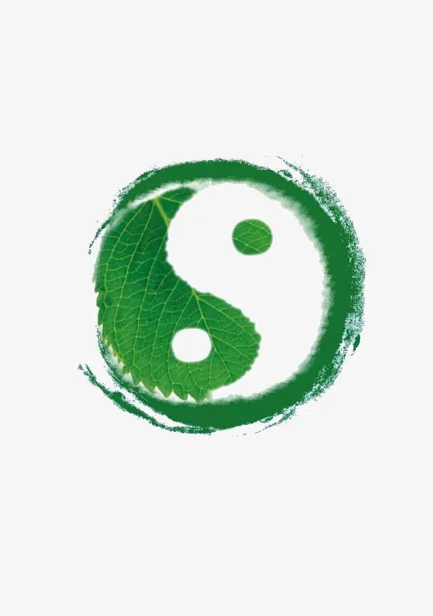 新时代文明实践非遗传承微风下的太极拳