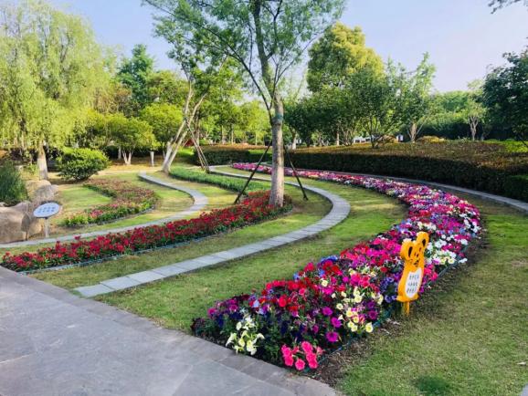 海盐县城这几个公园打造的花境美