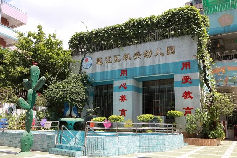 江门蓬江区公立幼儿园图片