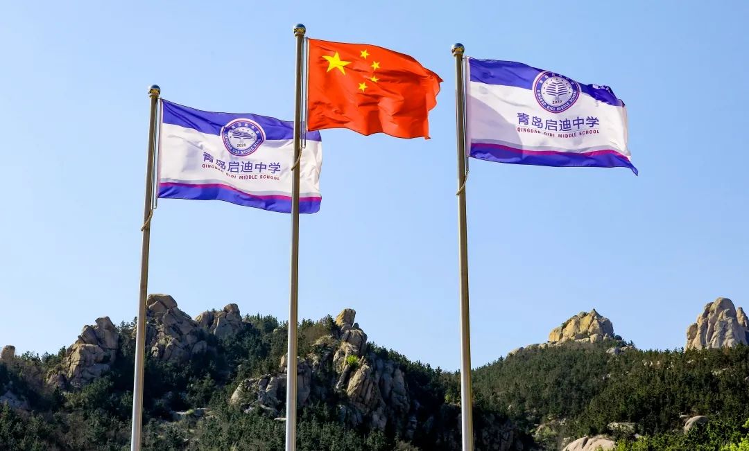 理由六:思行并重 促进学生核心素养提升青岛启迪中学各学科新教师均为