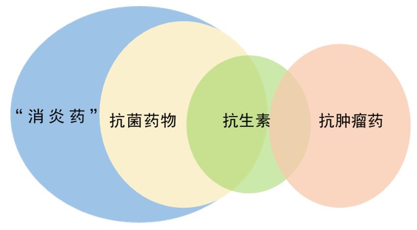 抗菌药物抗生素消炎药的区别在哪儿科药师来帮您