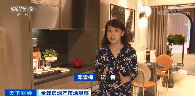 央视财经《天下财经》栏目视频新加坡房地产价格已经连续四个季度