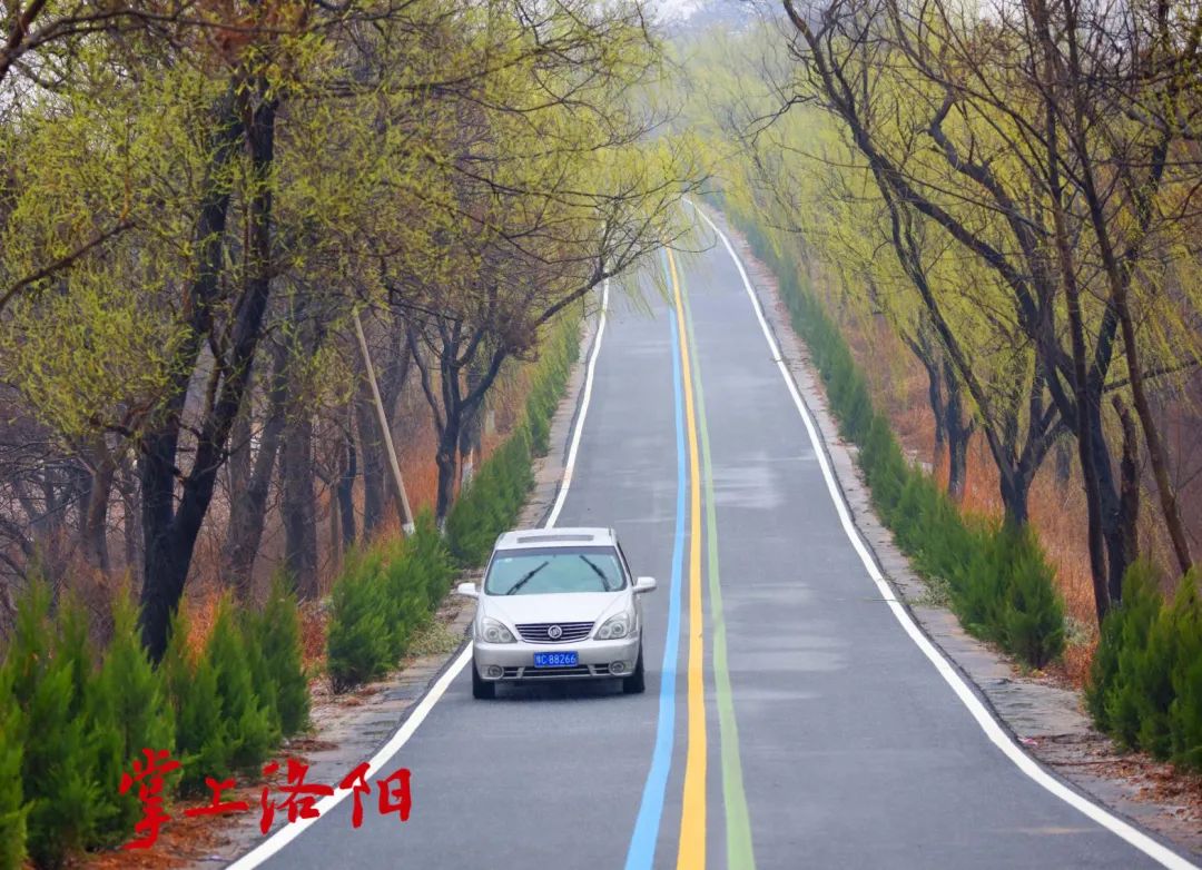 洛阳孟津最美公路图片