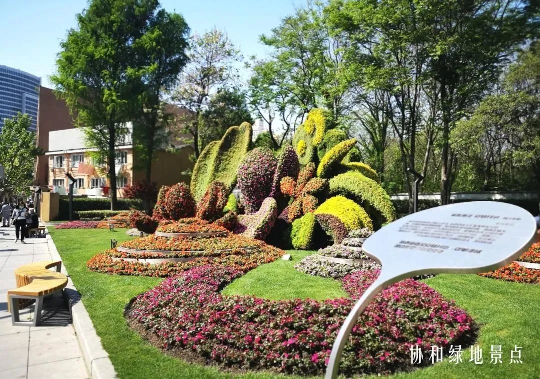 迎五一申城街头和公园里的花坛花境都美美哒