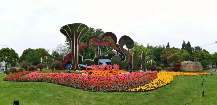 迎五一申城街头和公园里的花坛花境都美美哒