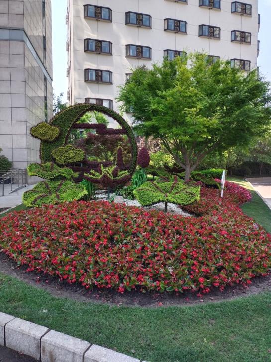 迎"五一" 申城街头和公园里的花坛花境都美美哒