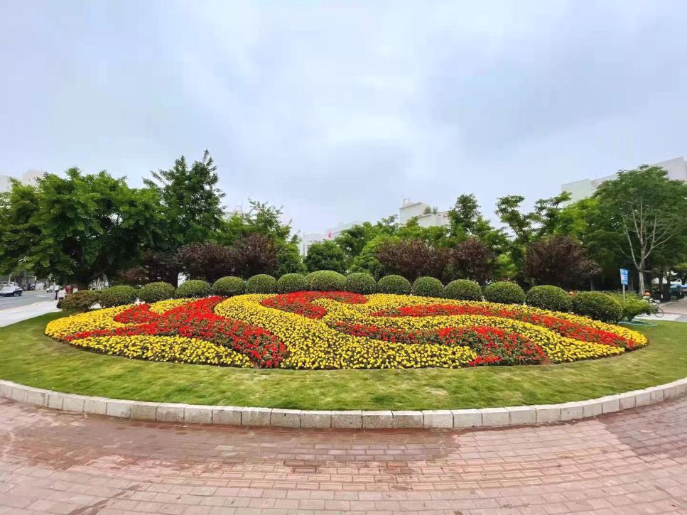 迎五一申城街头和公园里的花坛花境都美美哒