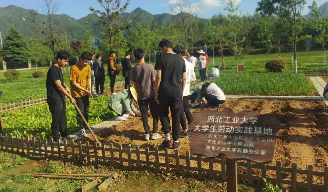 教育引导学生崇尚劳动,尊重劳动,辛勤劳动,诚实劳动,创造性劳动