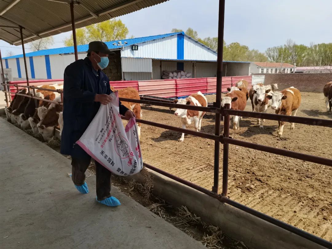 67劳模风采张静饲料大王的扶贫经