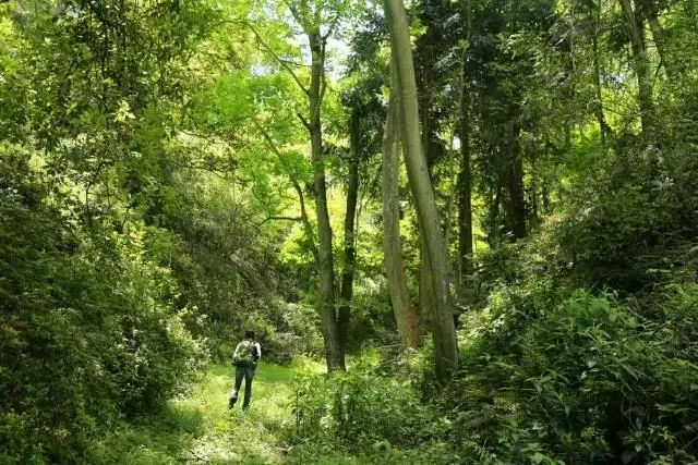 生活在个旧就是这么有氧范儿