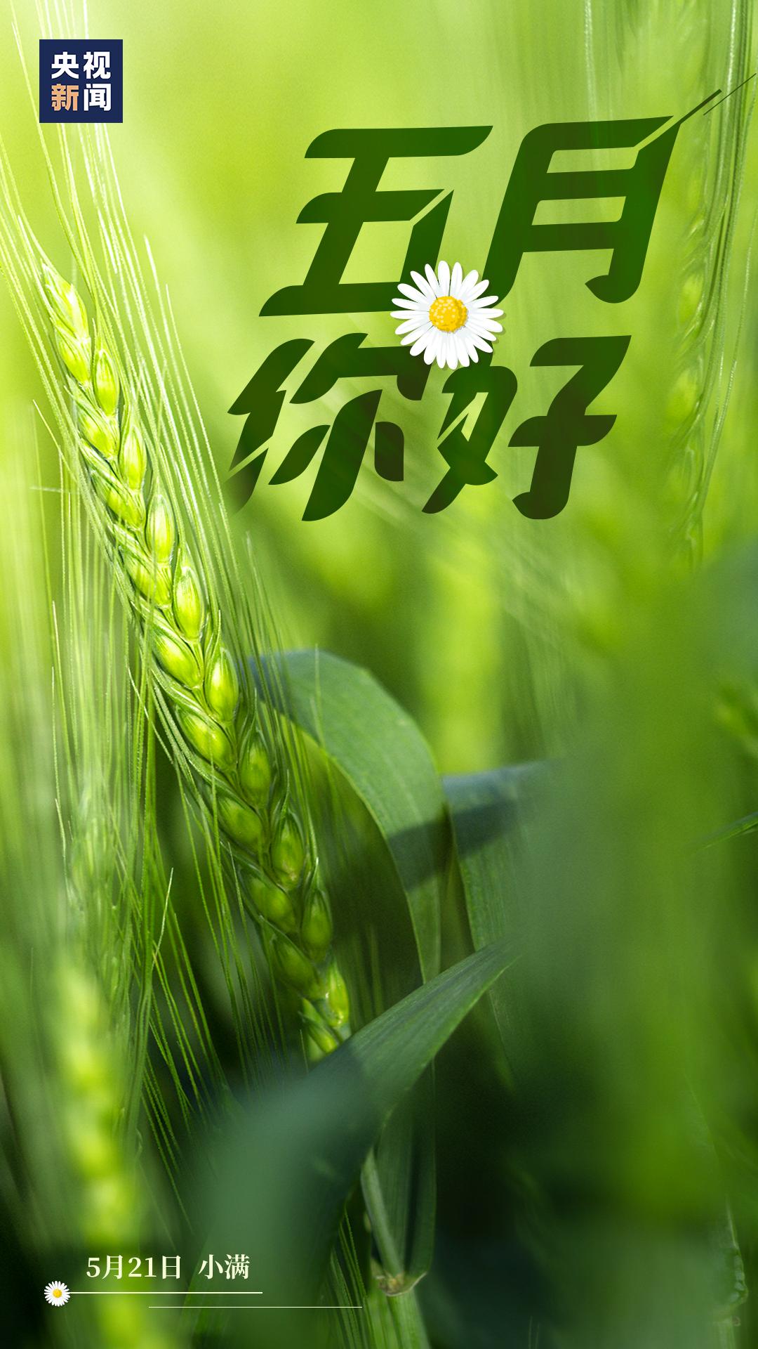 五月你好