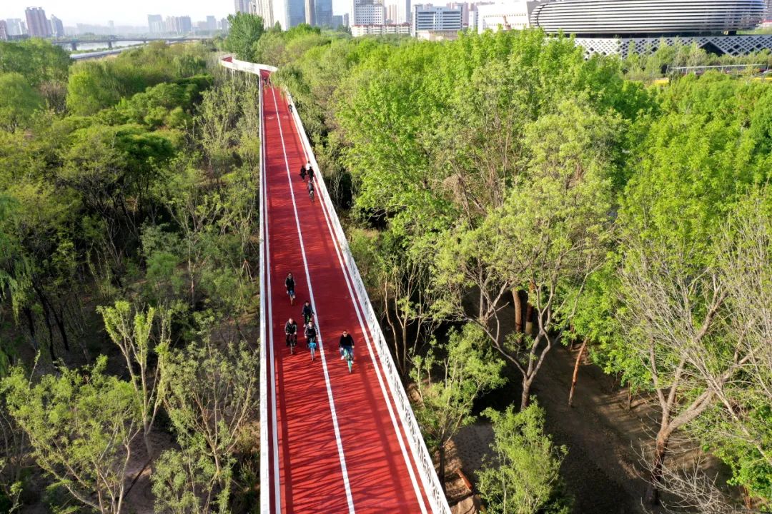 太原市滨河自行车道今日开通
