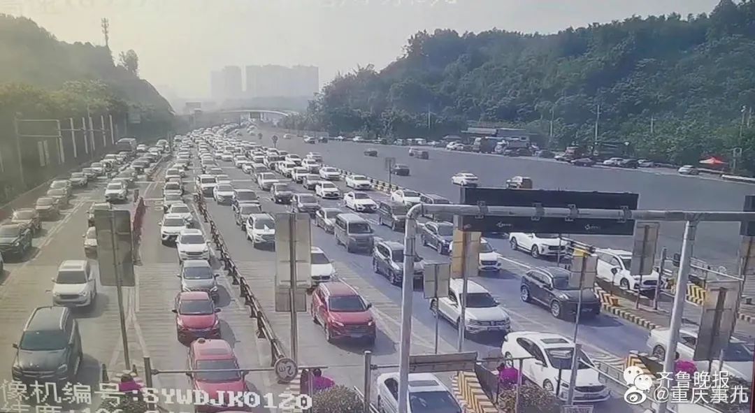 史上最堵五一各大收费站前车流正常人都去哪儿了