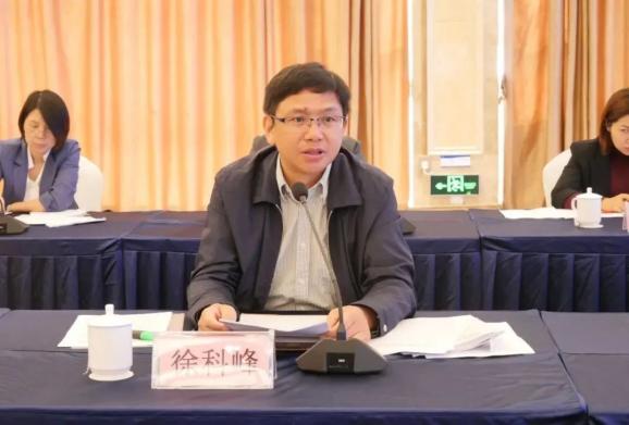 政府妇儿工委主任徐科峰就我市十年来实施"两纲""两规划"工作落实情况