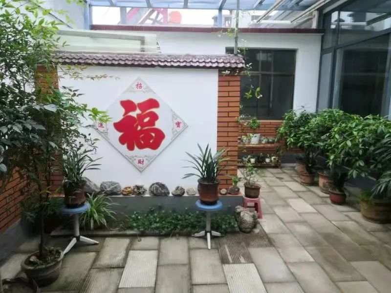 潍坊美丽庭院示范户擂台赛4月第4周周明星公布