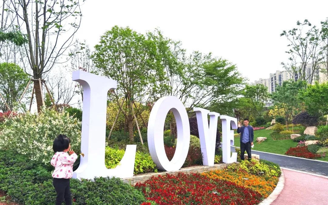以水为脉以绿为体奉贤又建成一座滨水公园星空公园