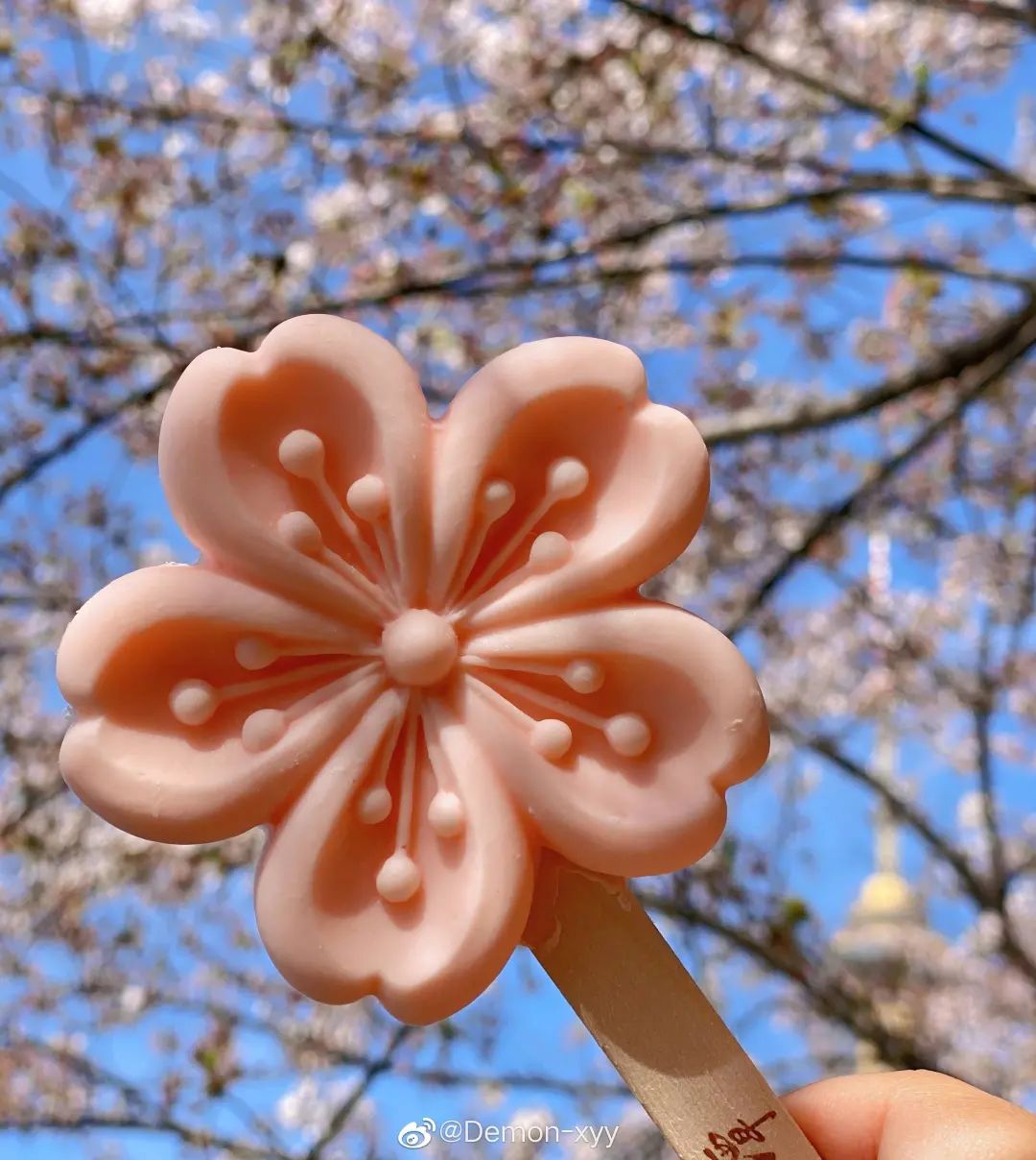 北京玉渊潭公园的樱花雪糕——网友@demon-xyy