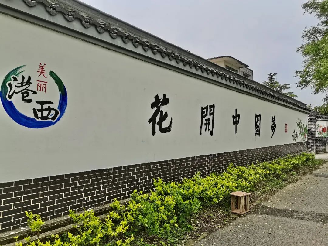 你好花博遇见崇明这个镇的花开中国梦