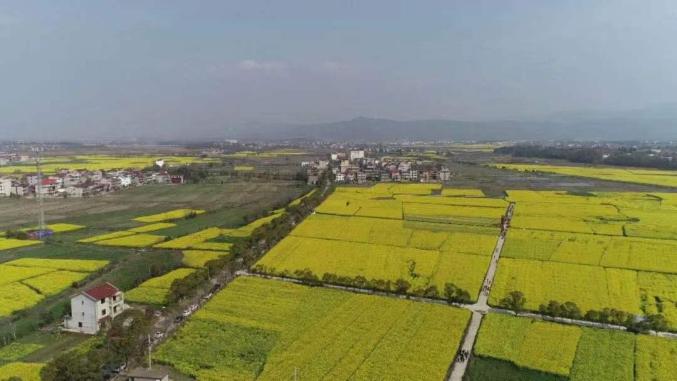 50個優勢特色產業集群和298個農業產業強鎮,其中我市安義縣長均鄉獲批