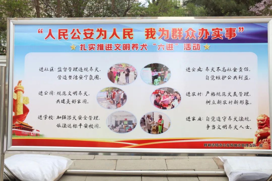 "我帮你"进行时】我为群众办实事 文明养犬进行时