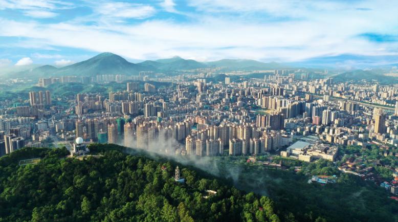 勇立潮头开新局武江区描绘新武江新经济新生活发展蓝图