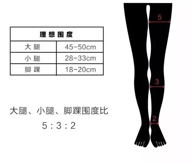 12「小腿围」标准=身高(cm)x02「大腿围」标准=身高(cm)x0