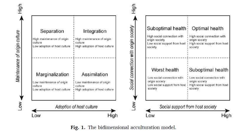 文化适应策略移民年龄和自我评估的健康状况中国内部流