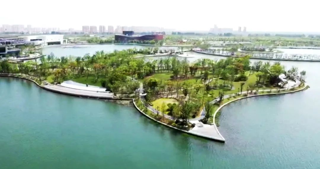 公园也建成开放,上海之鱼湖心岛公园是上海之鱼公园群中的点睛之笔