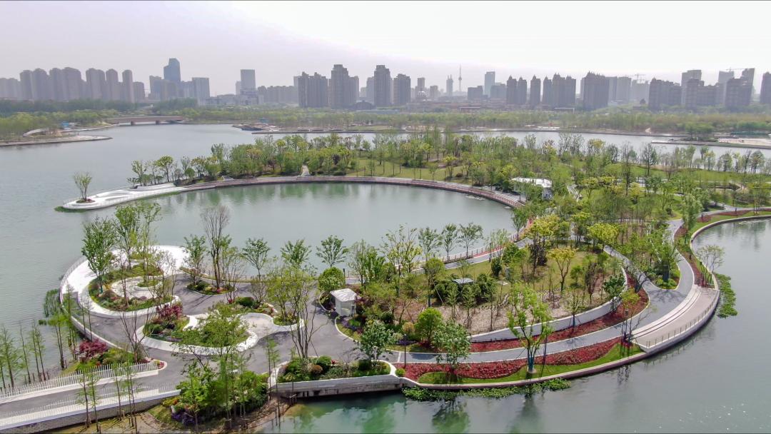 上海之鱼点睛之笔奉贤再添一座湖心岛公园