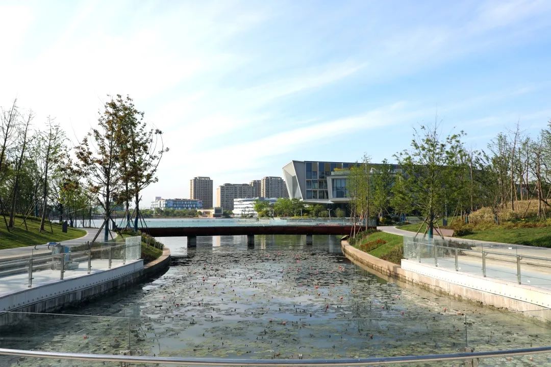 上海之鱼点睛之笔奉贤再添一座湖心岛公园