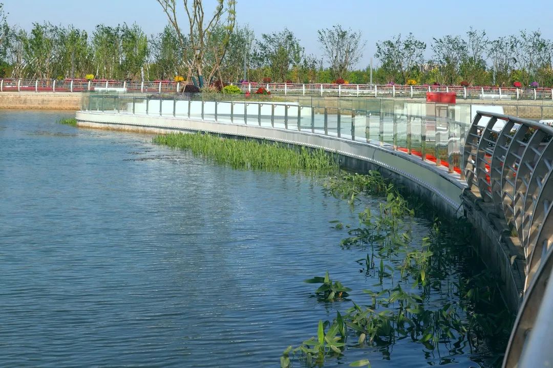 上海之鱼点睛之笔奉贤再添一座湖心岛公园