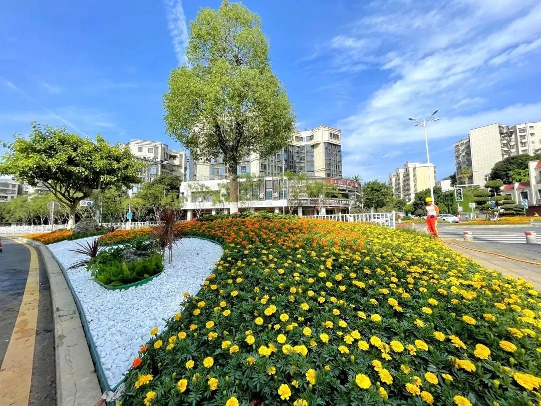 走进湖里,市民会发现多处交通岛及道路交叉口焕然一新,原本平面单一的