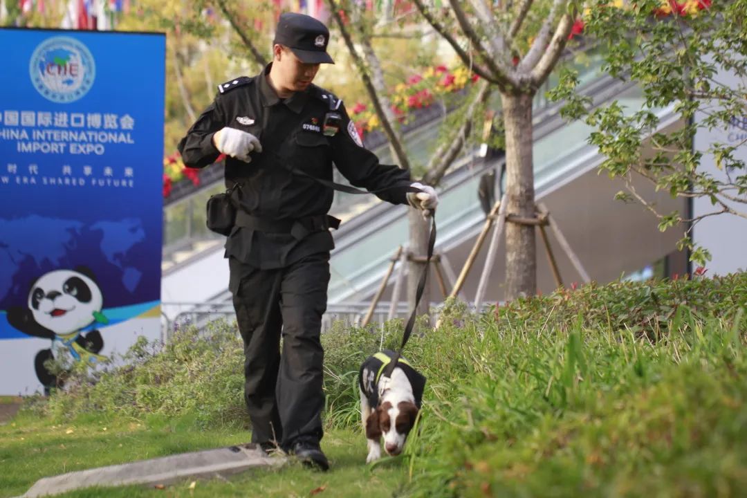 满满干货（中国诗词大会第六季总决赛）中国诗词大全第8季 第10张