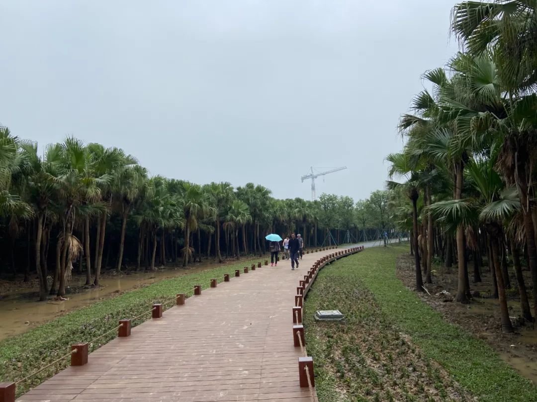 公园学校市场枢纽新城好消息不断