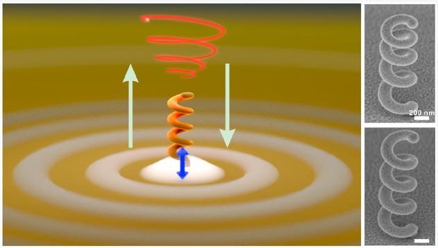 单纳米天线圆偏振和纵向偏振的转换