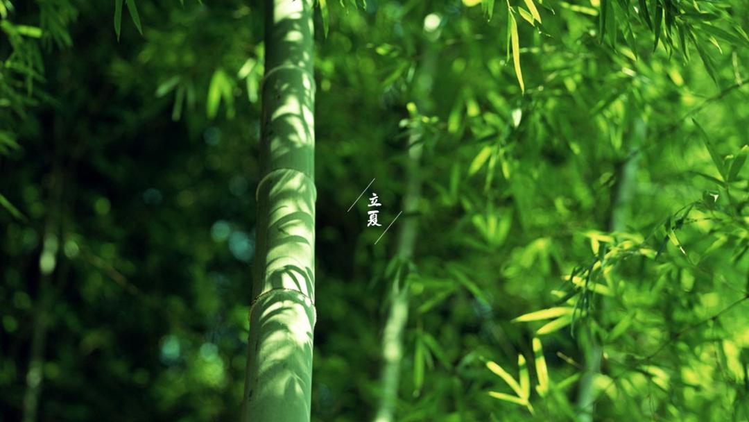 今日立夏夏天你好二十四节气
