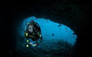 走向狂野蓝海：南大西洋阿森松岛潜水记