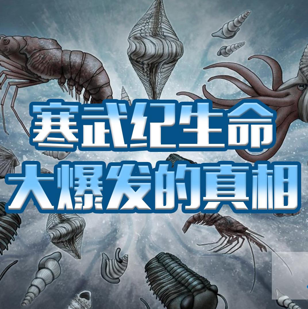 寒武纪生命大爆发真存在吗?