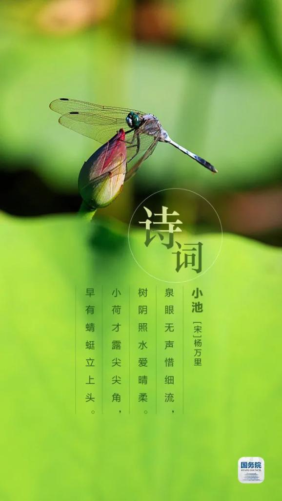 今日立夏樱桃甜青梅酸午后的蝉鸣和夏天一起来了