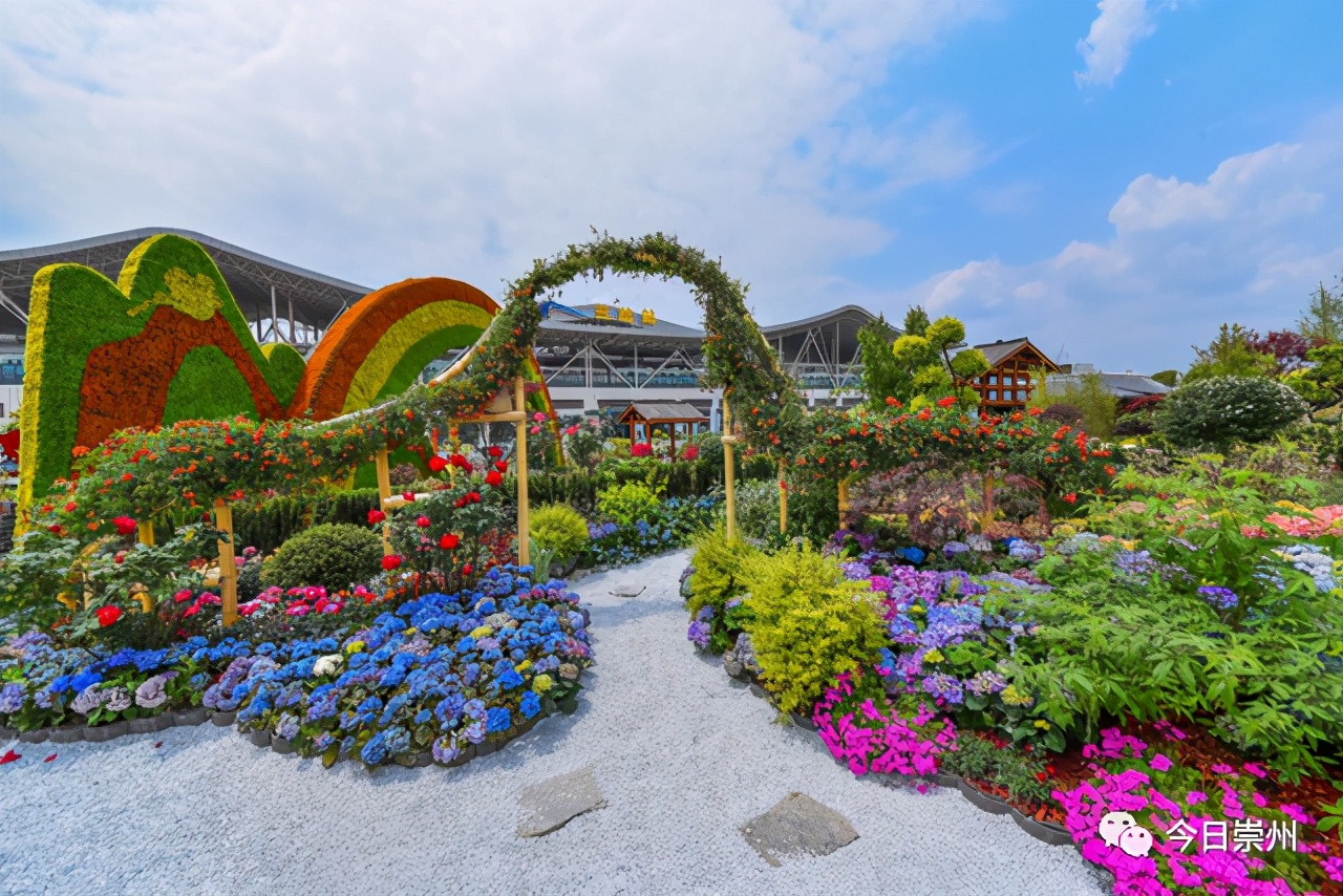 崇州金奖作品亮相花展,五一假期正好安排!