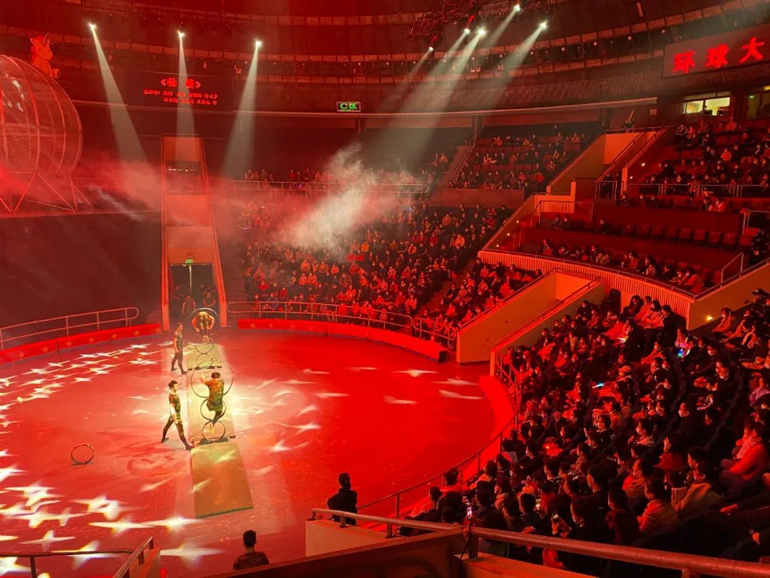 有票!五一去武汉杂技厅看环球大马