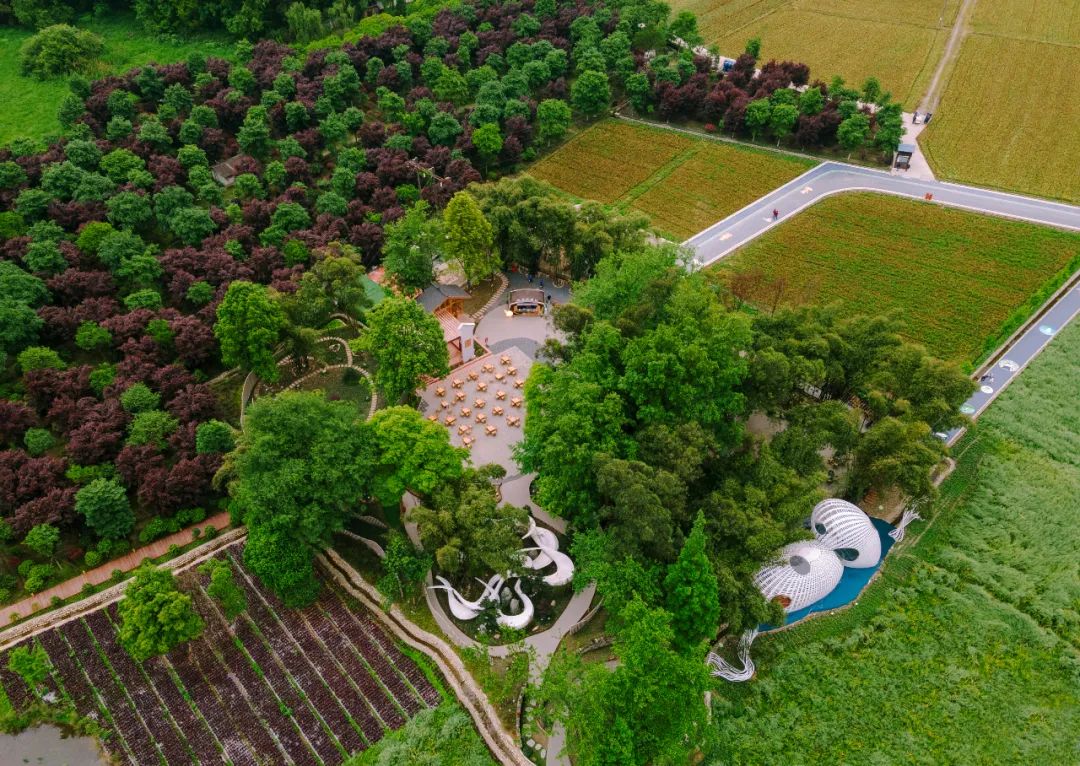 田园风地标来了邀你来把它们拍得美出天际