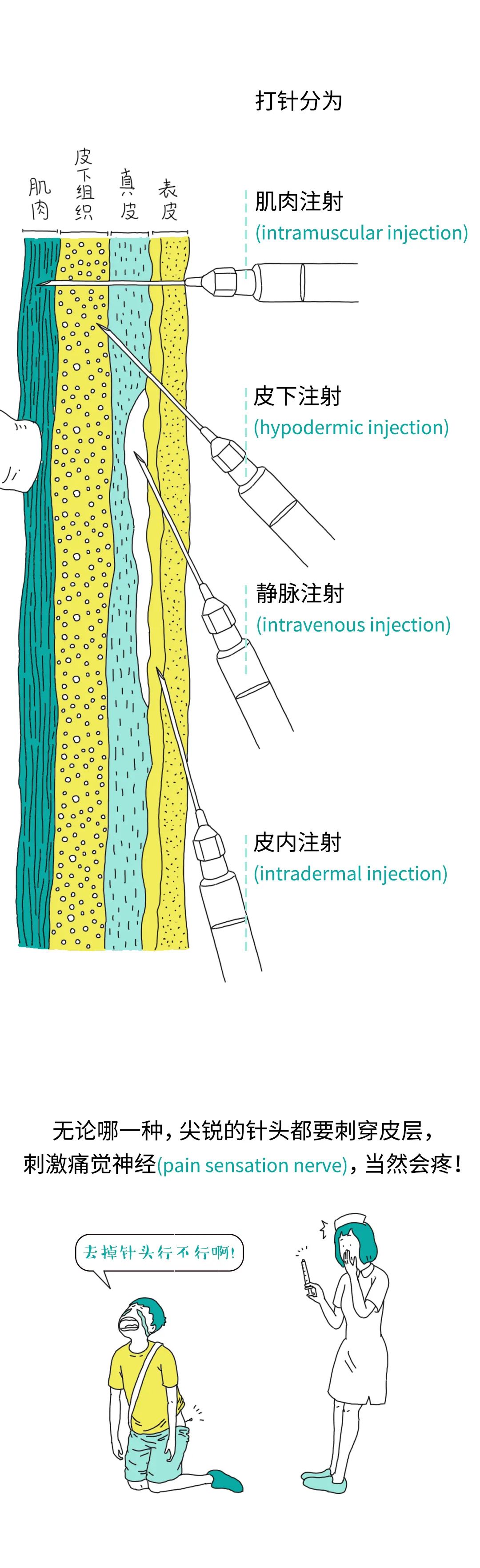 hypodermic injection 静脉注射 intravenous injection 肌肉注射