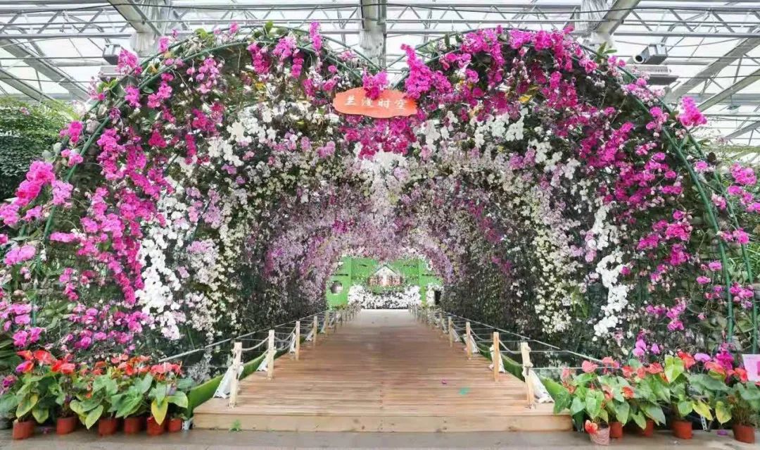 本次活动你需要注意的几点注意一照片以菜趣园,花趣园为背景.