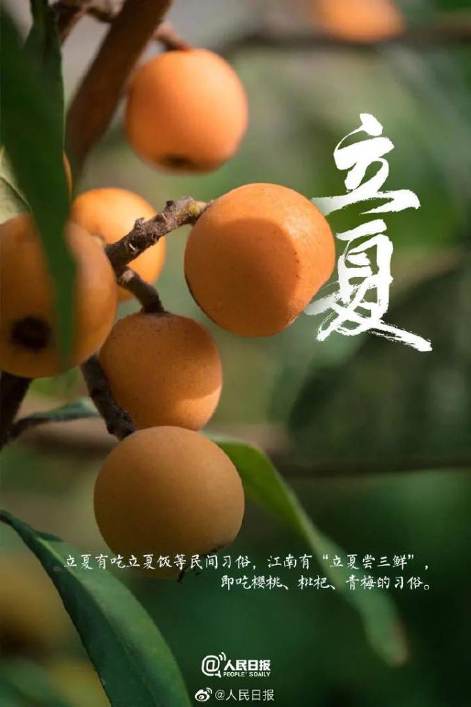 二十四节气今日立夏