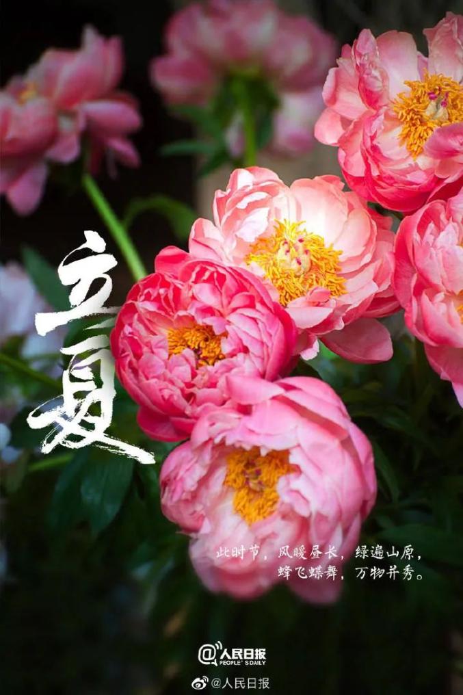 二十四节气今日立夏