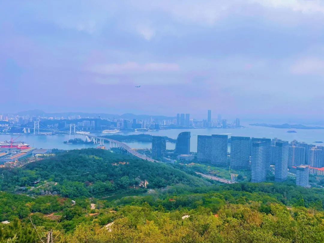 看海看桥看山景色无敌厦门这个公园能俯瞰半城