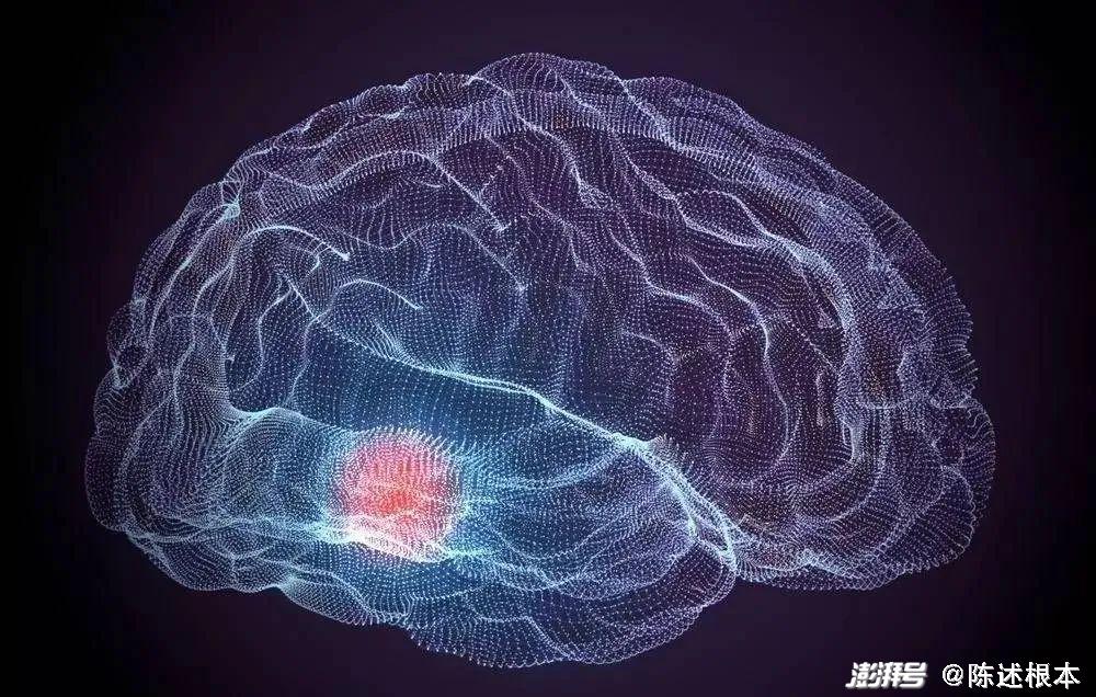 可穿戴设备新突破——可直接记录大脑活动