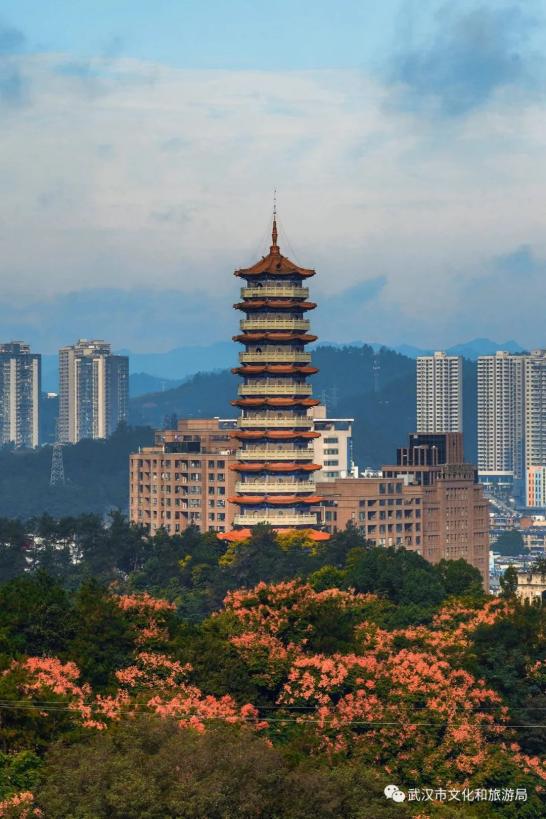 十堰最仙的旅程