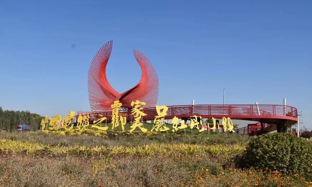 爱了爱了宁晋这个乡镇美景如画你去过吗